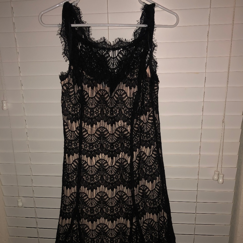 DB Collection Fit & Flare Tulle Dress